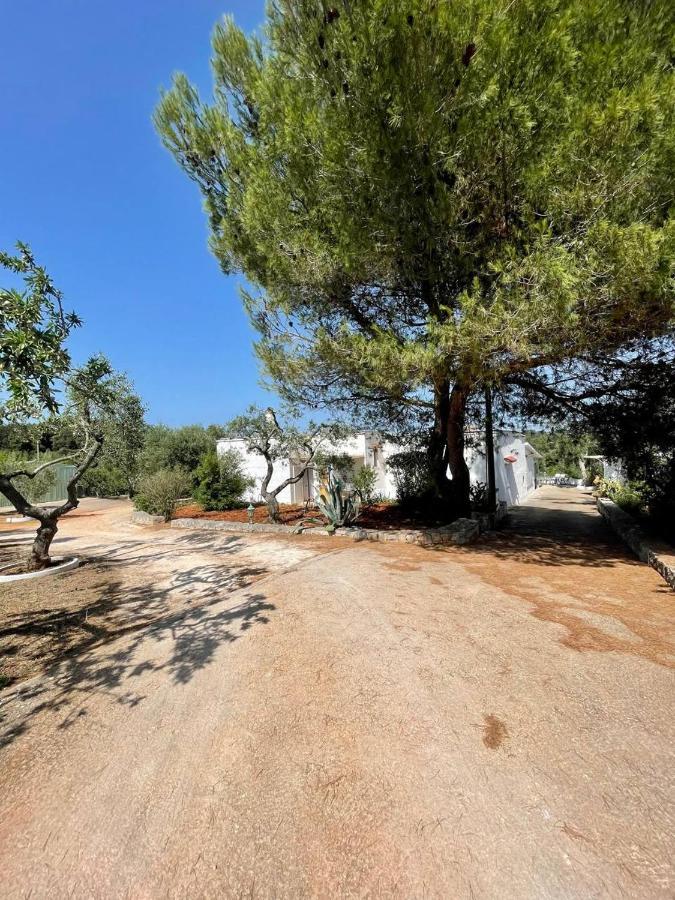 Residenza Fumarola Leilighet Ostuni Eksteriør bilde